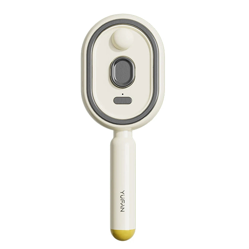 Wet Electrics Hairbrush with Water Spray Rechargeable Steams Hair Straightener USB-C Charging for Both Long & Short Hairs