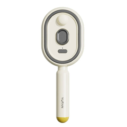 Wet Electrics Hairbrush with Water Spray Rechargeable Steams Hair Straightener USB-C Charging for Both Long & Short Hairs