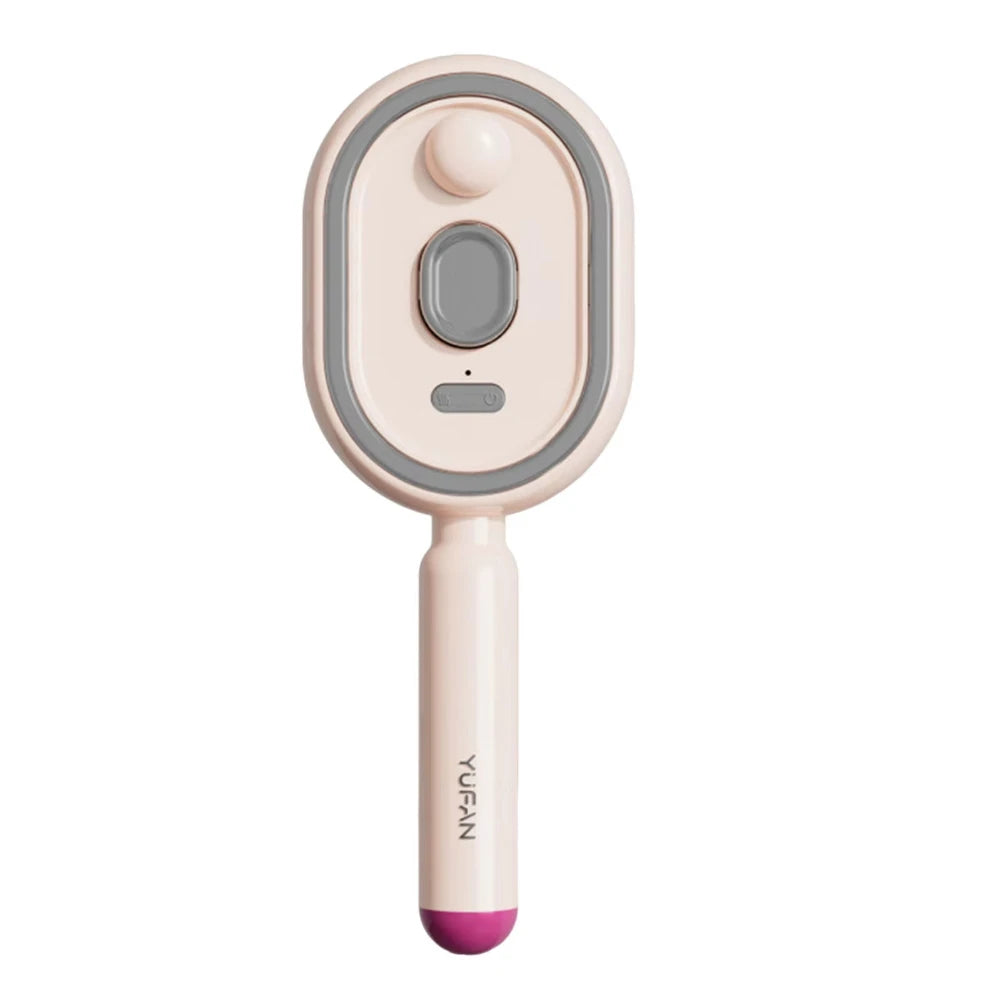 Wet Electrics Hairbrush with Water Spray Rechargeable Steams Hair Straightener USB-C Charging for Both Long & Short Hairs