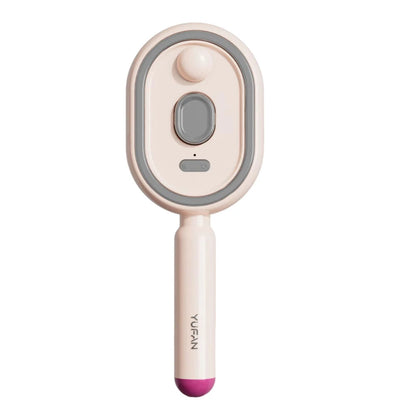 Wet Electrics Hairbrush with Water Spray Rechargeable Steams Hair Straightener USB-C Charging for Both Long & Short Hairs