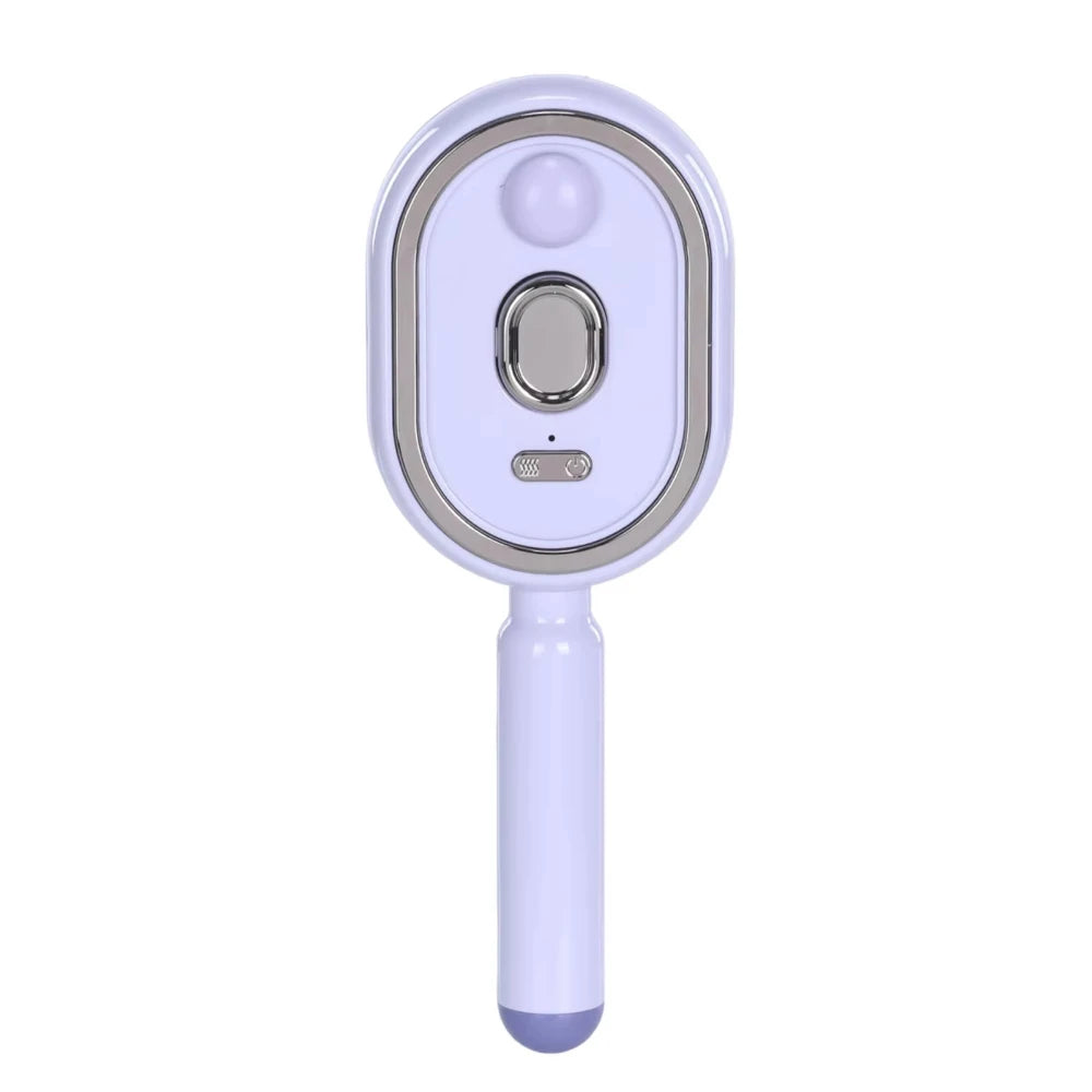 Wet Electrics Hairbrush with Water Spray Rechargeable Steams Hair Straightener USB-C Charging for Both Long & Short Hairs