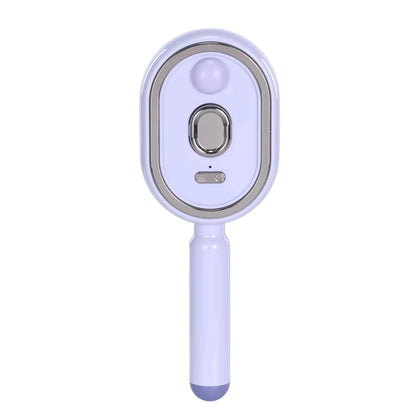 Wet Electrics Hairbrush with Water Spray Rechargeable Steams Hair Straightener USB-C Charging for Both Long & Short Hairs