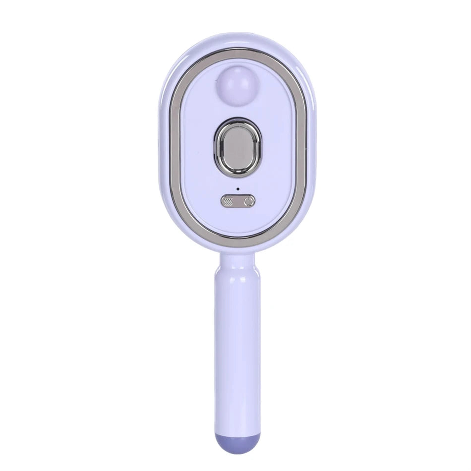 Wet Electrics Hairbrush with Water Spray Rechargeable Steams Hair Straightener USB-C Charging for Both Long & Short Hairs