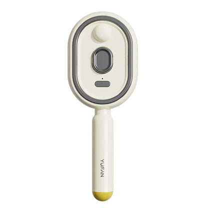 Wet Electrics Hairbrush with Water Spray Rechargeable Steams Hair Straightener USB-C Charging for Both Long & Short Hairs