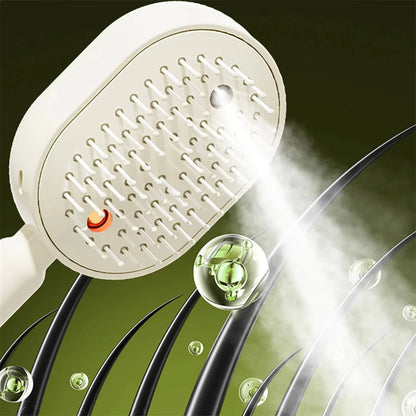 Wet Electrics Hairbrush with Water Spray Rechargeable Steams Hair Straightener USB-C Charging for Both Long & Short Hairs